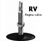 Regina valve (RV)